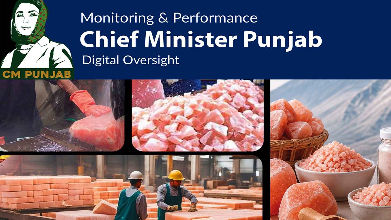CM Punjab Pink Salt Loan Scheme 2026